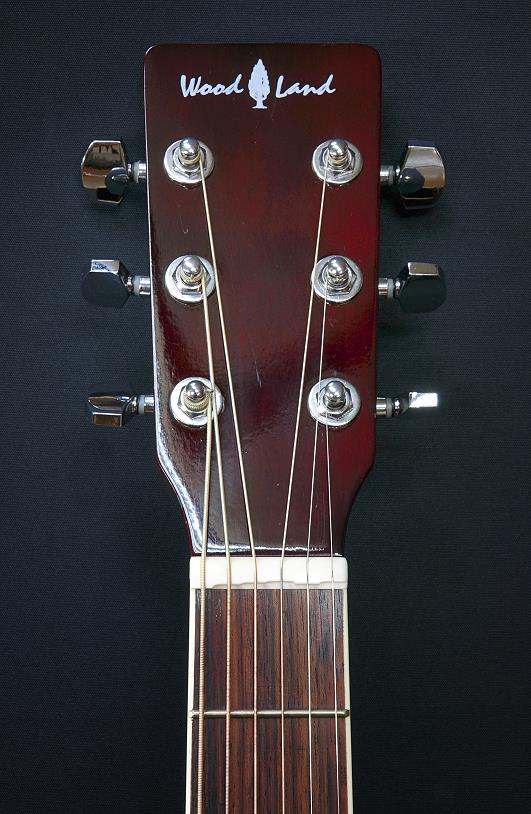 ギターチューニングシステム MTS プリインストールギター